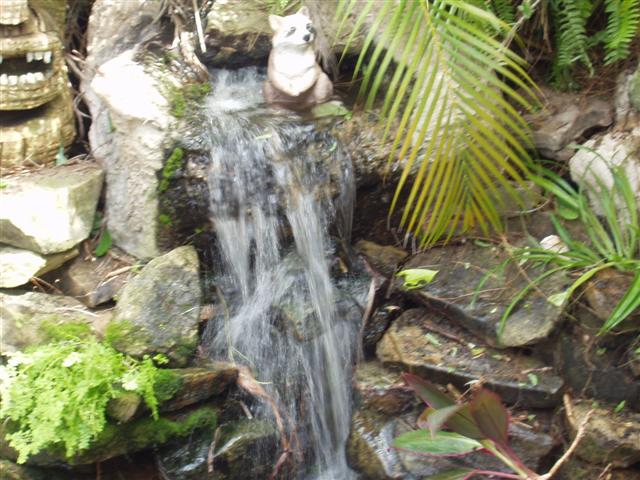 Image 21 of 28  -  65 kB